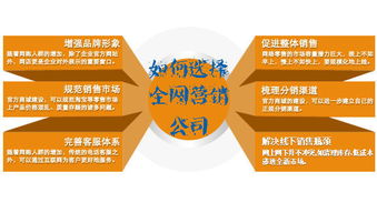 如何选择全网营销公司