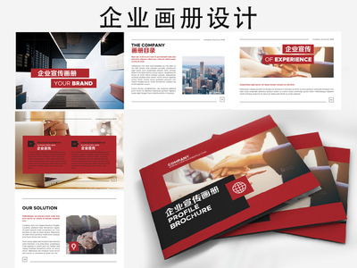南沙区宣传册-认准凌志营销策划-宣传册模板