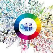 【智财富企业网络营销,为企业提供可落地、可执行、可盈利的网络营销方案】价格_厂家_图片 -